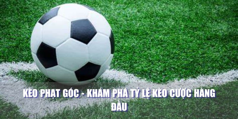 Khám phá kèo phạt góc ko66